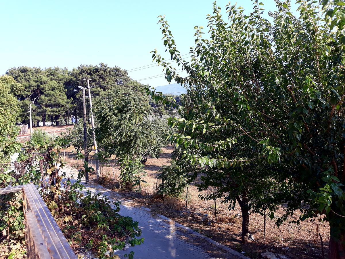 Can Efes Hotel Σελτσούκ Εξωτερικό φωτογραφία